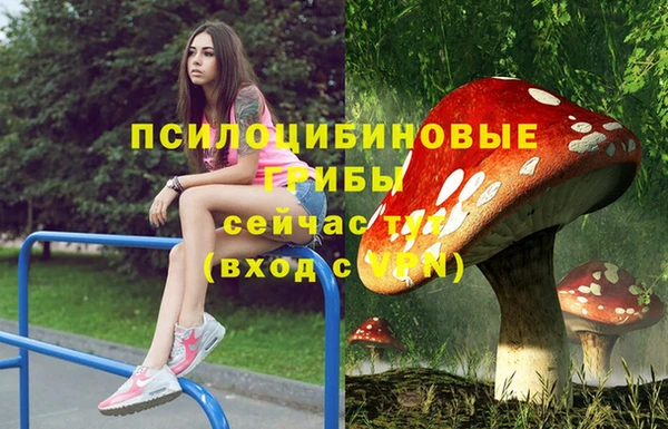 твердый Балахна
