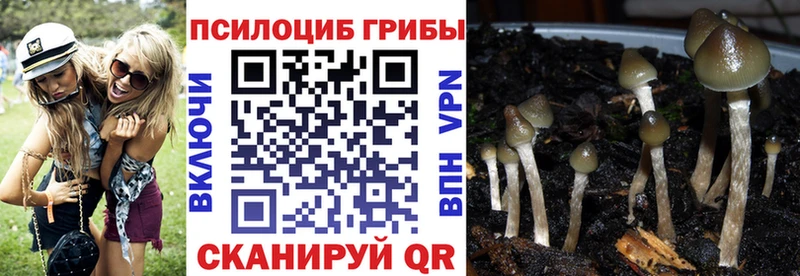 цены   это официальный сайт  Галлюциногенные грибы прущие грибы  Лесозаводск 